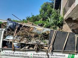 Best Basement Cleanout  in Pueblo, CO